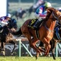 【中京記念見どころ】決め手光るウォーターリヒトの切れ味に注目