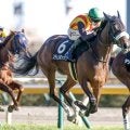 【札幌記念見どころ】実績上位ステレンボッシュの復活に期待
