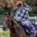 100勝のうちGIが3勝 武豊騎手4500勝から4600勝までの軌跡