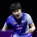 張本智和がV王手 WTTチャンピオンズ