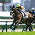 【札幌記念想定騎手】ホウオウビスケッツは岩田康誠騎手、ステレンボッシュは池添謙一騎手