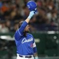 中日・チェイビスのダイブで観客が下敷きのハプニング　担架で搬送　井上監督も駆けつけ、球場騒然