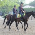 母は豪G1勝ち馬 モンローウォークが土曜新潟で初陣/関東馬メイクデビュー情報