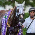 【クラスターC】高松「最高のレースをしたいと臨んだ」サンライズアムールが交流重賞初制覇