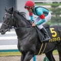 札幌記念で複勝率46％の横山典弘騎手 トップナイフで波乱を呼ぶか