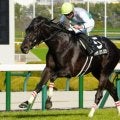 【札幌記念】青森産馬のJRA重賞制覇なら5年ぶり ハヤテノフクノスケが初タイトル狙う