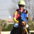 【札幌記念】史上初のセン馬Vなるか シュトルーヴェがR.キング騎手で復活期す