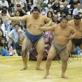 秋場所で大関とりの若隆景が実力者相手に５連勝「来場所が大事」と大関とりの重圧受け止める