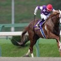 【クラスターC】小林師「ホッとしました」サンライズアムールが交流重賞初制覇