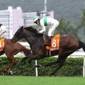 【中京記念展望】好走条件に合致するエルトンバローズが中心
