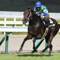 18番人気メイケイダイハードの激走 21世紀唯一の記録を残した中京記念から5年