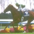 今年は日本馬2頭出走のジャックルマロワ賞 27年前の一戦で魅せたタイキシャトル
