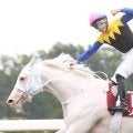 札幌記念を制した桜花賞馬たち