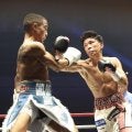 【ボクシング】日本＆アジアＳウエルター級王座戦、岩田翔吉再起戦など９・６後楽園の延期発表