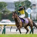 【キーンランドC想定】パンジャタワーやウインカーネリアンなど12頭
