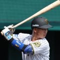 阪神・百崎蒼生が退院 死球を受け手術