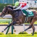 【札幌記念】ヴェローチェエラが史上3頭目の偉業に挑戦 函館記念との同年ダブル制覇なるか