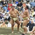 豊昇龍が稽古で9戦全勝で復調