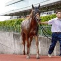 【中京記念】横山武史騎手が中京で重賞初制覇なるか マピュースと初コンビで参戦だ