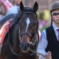 【札幌記念】武豊騎手が12年ぶり9勝目なるか GII・2勝のシュヴァリエローズに初騎乗だ