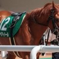 【中京記念】井上敏樹騎手が重賞初制覇なるか コレペティトールで一発狙う