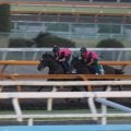 ラムジェット、コリアCに向けて追い切り開始/栗東トレセンニュース