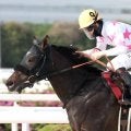 【門別・北海道SC注目馬】昨年から世代限定戦に変更 未来の短距離王者を目指す3歳馬による戦い 