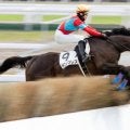 【新潟JS】来年定年の佐々木晶三調教師 インプレスでJRA全10場重賞制覇なるか