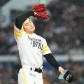 鷹・松本晴