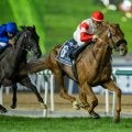 【英インターナショナルS】ダノンデサイル環境にも馴染み上々…ヨーク大舞台へ視界良好