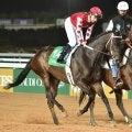 母は米G1・5勝＆弟は5.8億円で落札 ミティリーニがデビュー勝ちを狙う