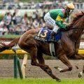【長久手特別】オークス3着のタガノアビー 必勝を期す始動戦だ