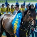 【中京記念枠順確定】キープカルムは8枠11番、エコロヴァルツは6枠8番