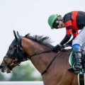 【札幌記念枠順確定】ホウオウビスケッツは3枠5番、ステレンボッシュは4枠8番