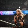 「懐かしすぎる」“日本オタク”美女レスラー、マニア垂涎の“ポケモン・プレステ・任天堂” 貴重な90年代コレクションが大反響