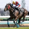 【今日の注目ポイント】新潟JSと長久手特別にオークス3着のタガノアビーが登場