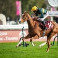 仏ロワイヤリュー賞 コンセントが圧勝