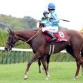 京都大賞典 伏兵ヴェルミセルが3着