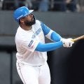 パ野手タイトル一覧 レイエスが2冠