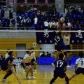 春高バレー埼玉県大会　決勝は男子が昌平－春日部共栄、女子が細田学園－春日部共栄　春高バレー