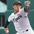 プロ野球トライアウト参加選手発表