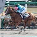 【京都JS枠順確定】ディナースタは8枠9番、レッドバロッサは2枠2番