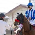 武豊騎手 今週の騎乗馬…土日京都で12鞍
