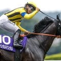 【マイルCS想定馬・騎手】ジャンタルマンタル、ソウルラッシュなど23頭