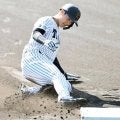 阪神・山田　攻守に成長アピール　藤川監督が高評価「体がどっしり」新打撃フォームで快音