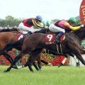 【競馬予想】波乱も多いハンデ戦、アルゼンチン共和国杯で注目の血統は？　コース適正が高い２頭で穴を狙う