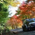 WRCジャパン速報：SS10『Ena 1』はエバンスが勝田に2.1秒差のベスト、オジエとエバンスの差は2.0秒に