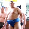 横綱・大の里が九州場所へ最終調整