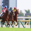【東京６Ｒ・２歳新馬】７番人気のレオアジャイルが横綱相撲でデビューＶ　岩田康誠騎手「自分の形でレースができた」