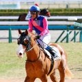 土曜京都競馬場の注目激走馬…京都１１Ｒ室町ステークス